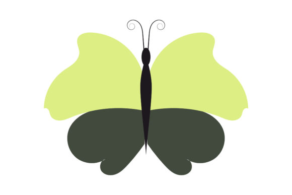 Download Butterfly Tropical Pretty Design - Design Collection